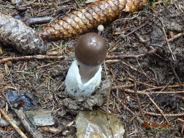 Novit� per .... me : QUIZZZZ